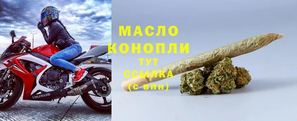 индика Карпинск