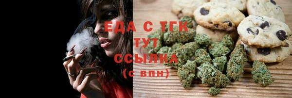 индика Карпинск
