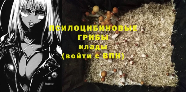 mdpv Карталы