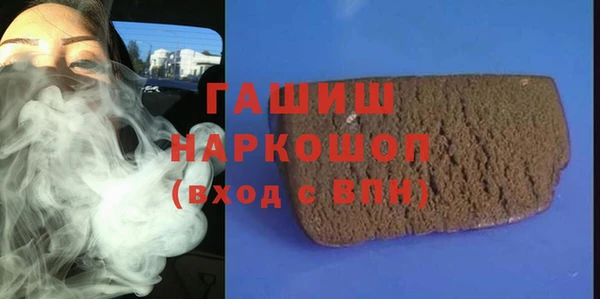 индика Карпинск