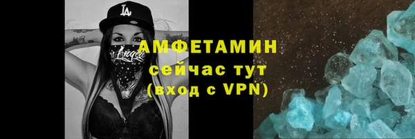 индика Карпинск