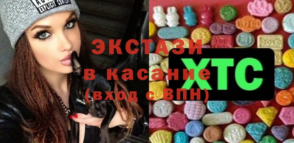 индика Карпинск