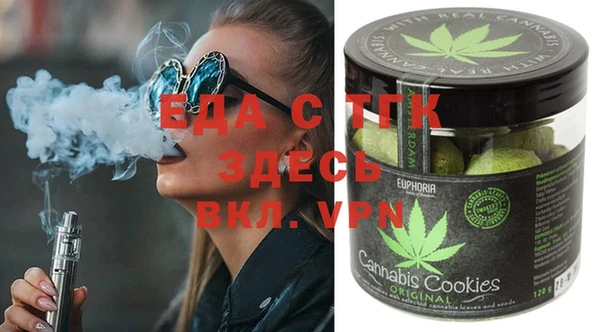 индика Карпинск