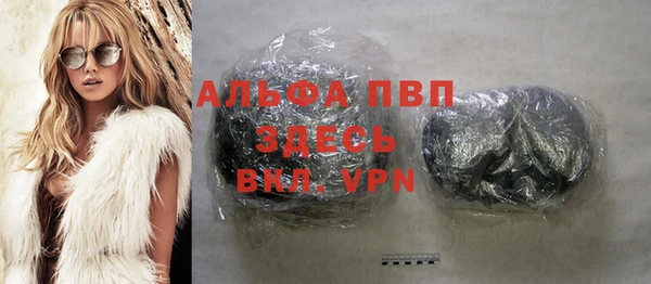 индика Карпинск