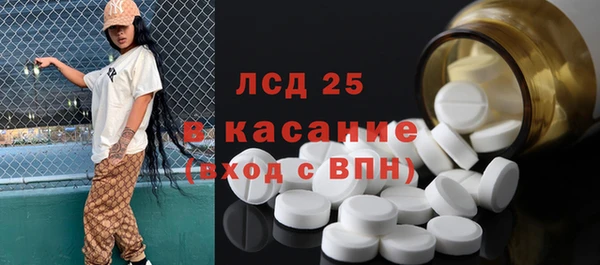 индика Карпинск