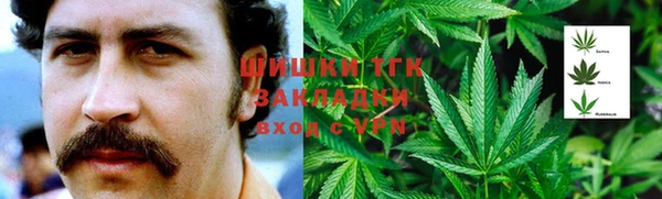 индика Карпинск